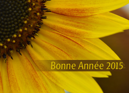 Tournesol, Bonne Année 2015